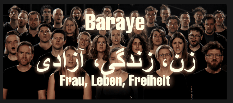 Baraye (by Shervin Hajipour)